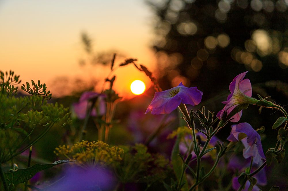 Photograph by Мария