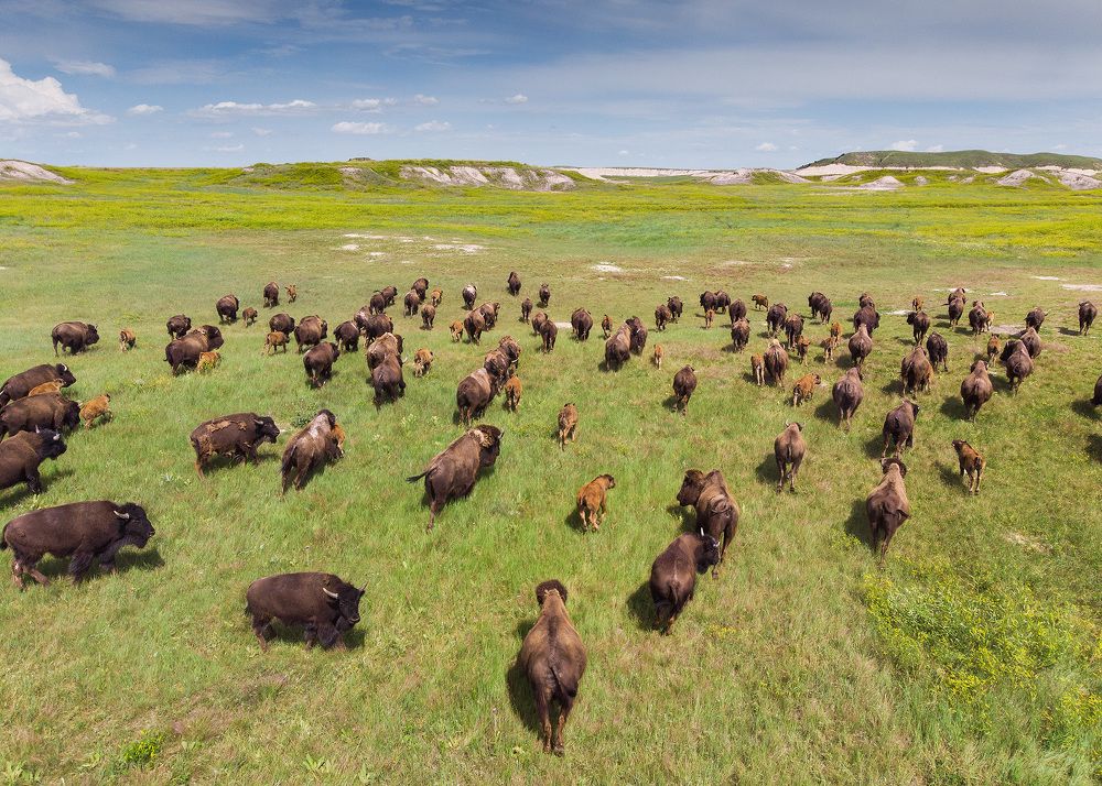 Photograph by Lana Anferow