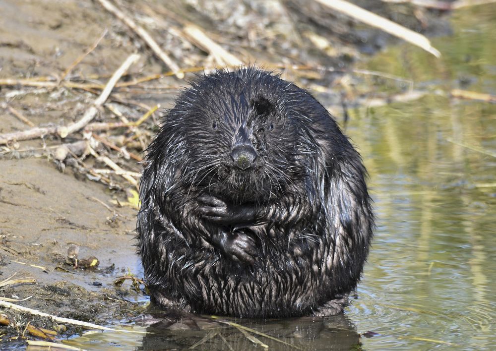 Photograph by MIKHAIL KALAGIN