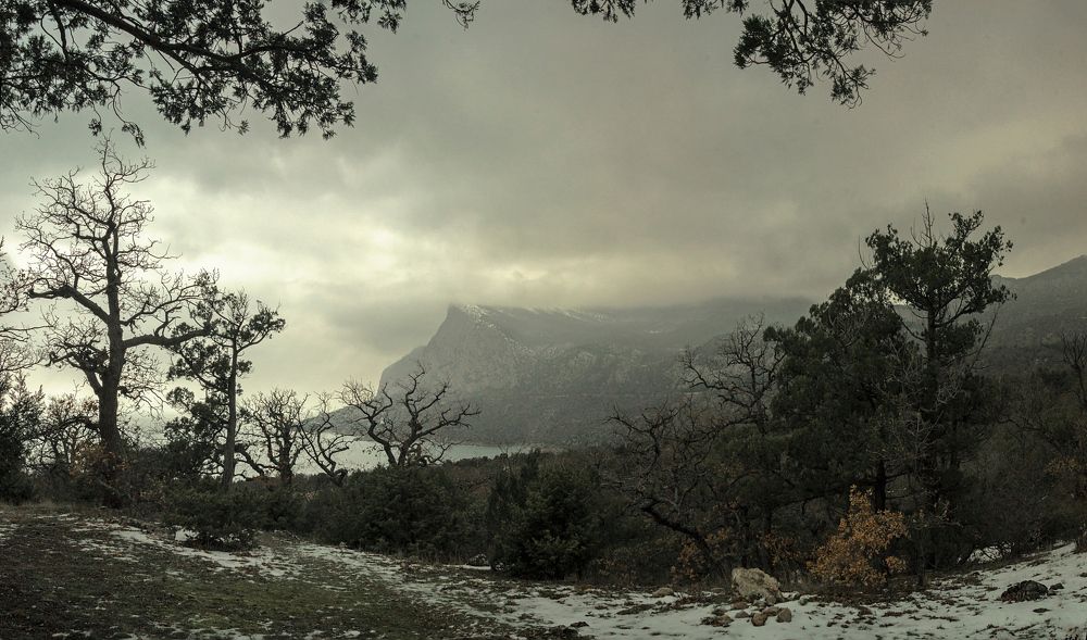 Photograph by AlexSa