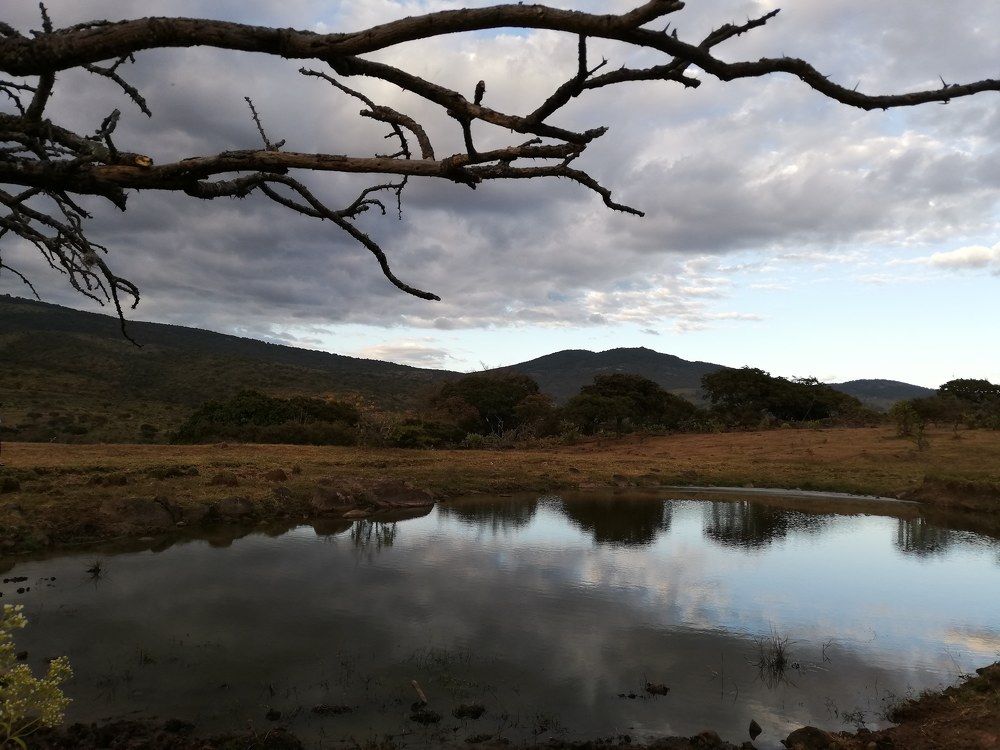 Photograph by Andrea Alcalá