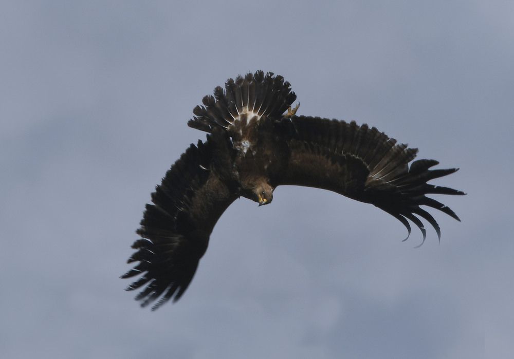 Photograph by MIKHAIL KALAGIN