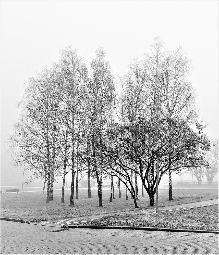 Photograph by Владимир Шнип