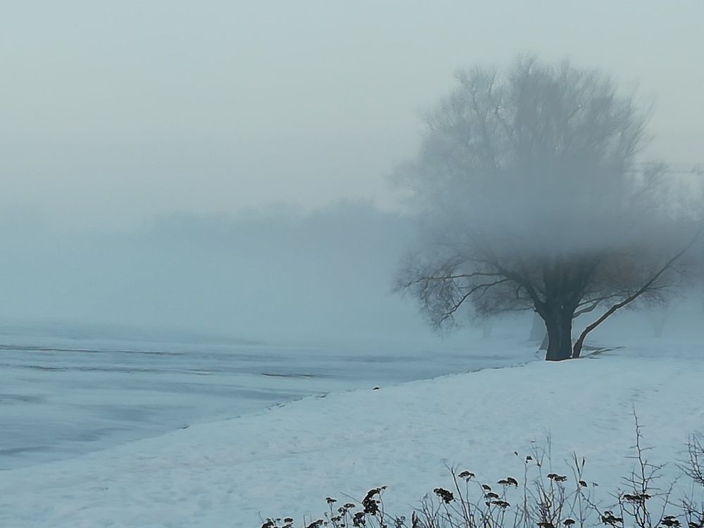 Photo #5842960