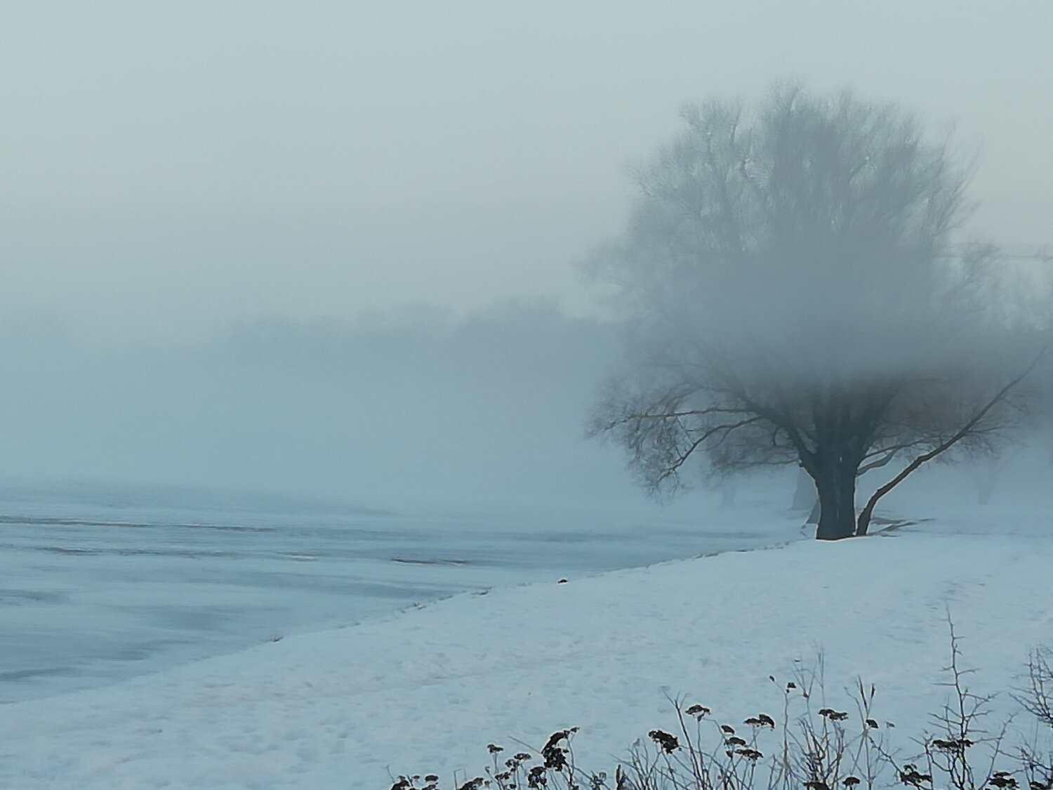 Photo #5842960