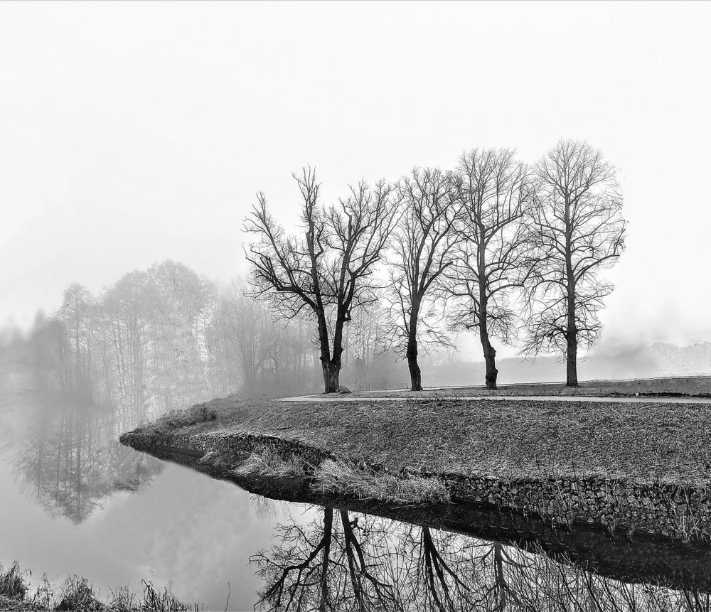 Photograph by Владимир Шнип