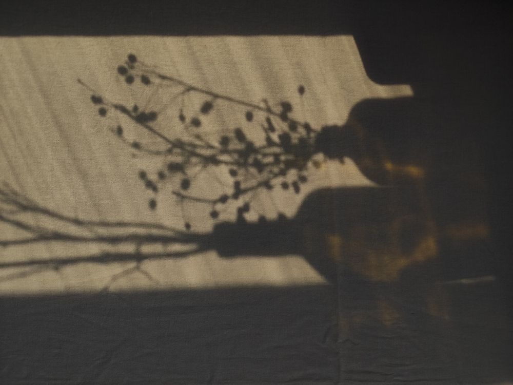 Photograph by Evgeniya Gribova