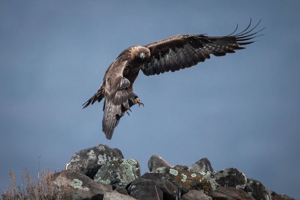 Photograph by Nikolay Stoyanov