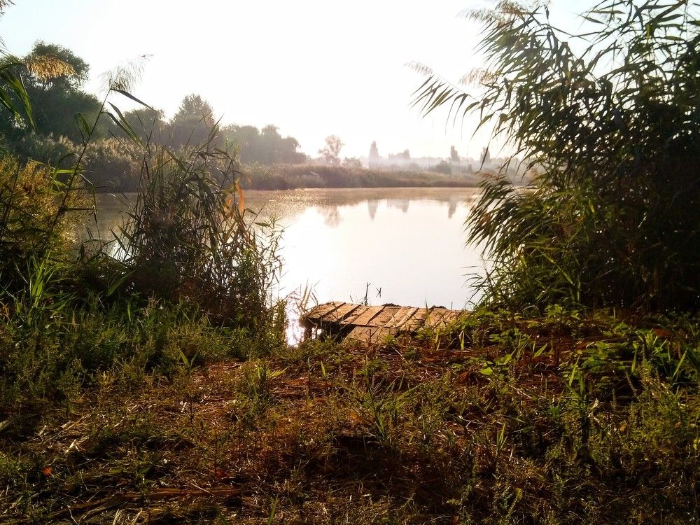 Photograph by Денис Лащ