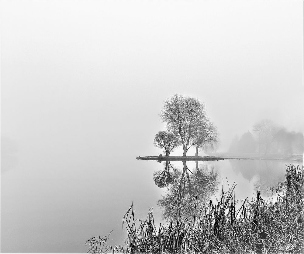Photograph by Владимир Шнип