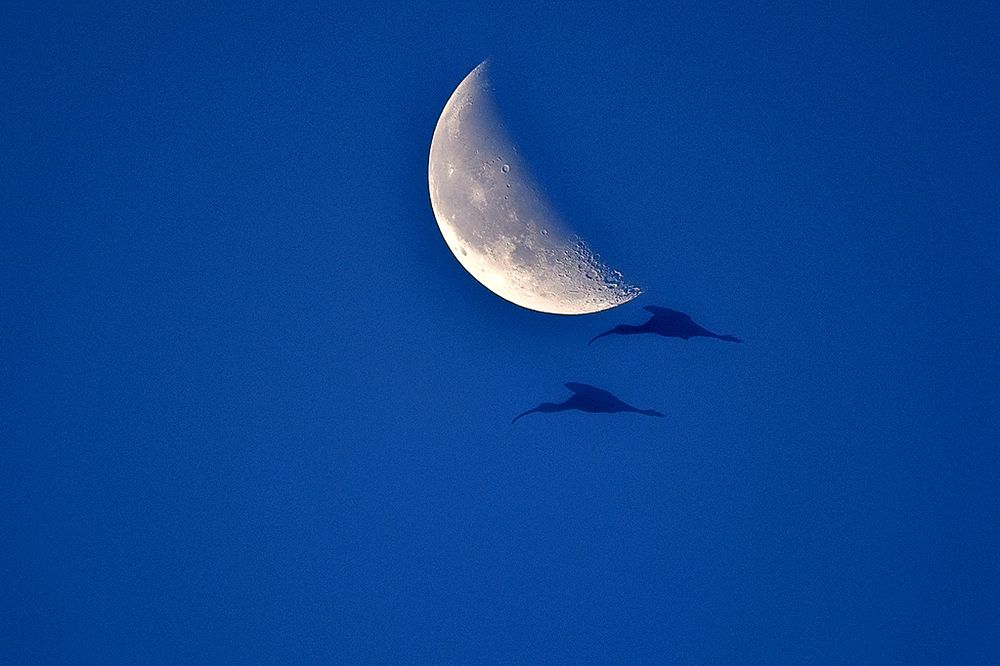 Photograph by Daksha Bapat Achwal