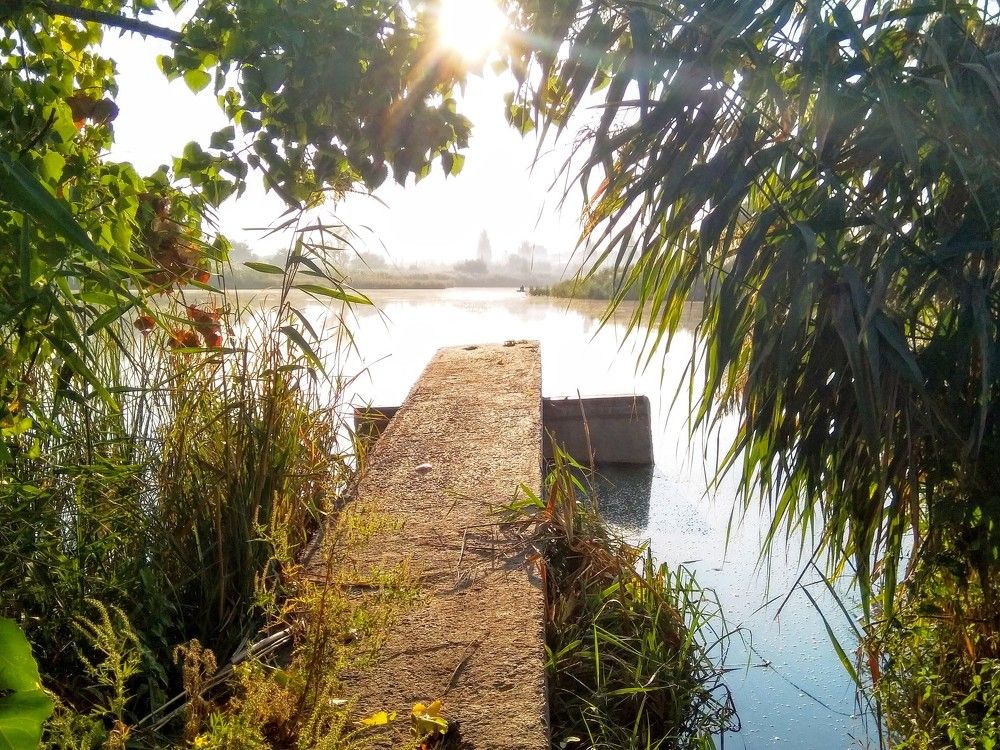 Photograph by Денис Лащ