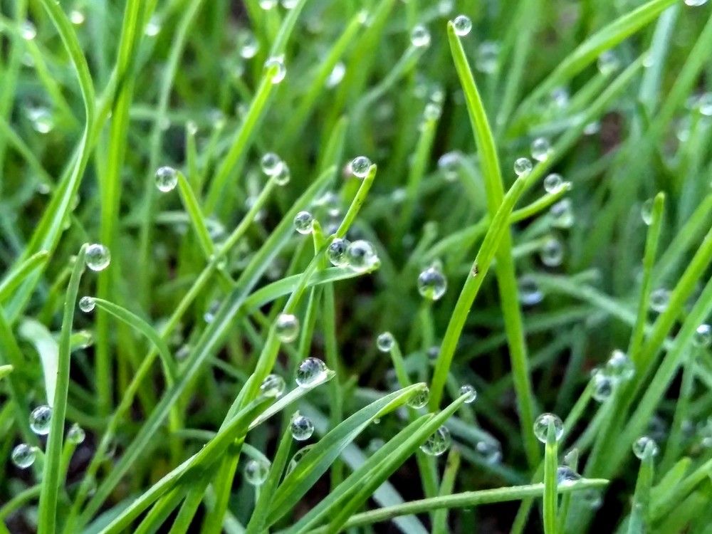 Photograph by Денис Лащ