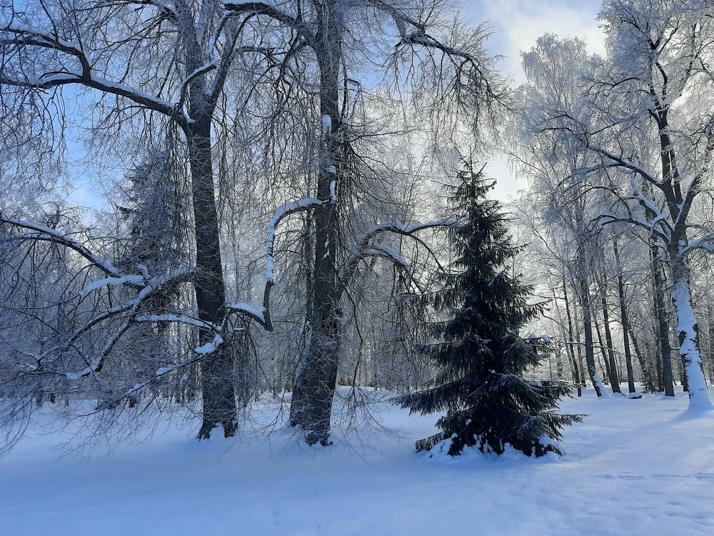 Photograph by Елена Грошева