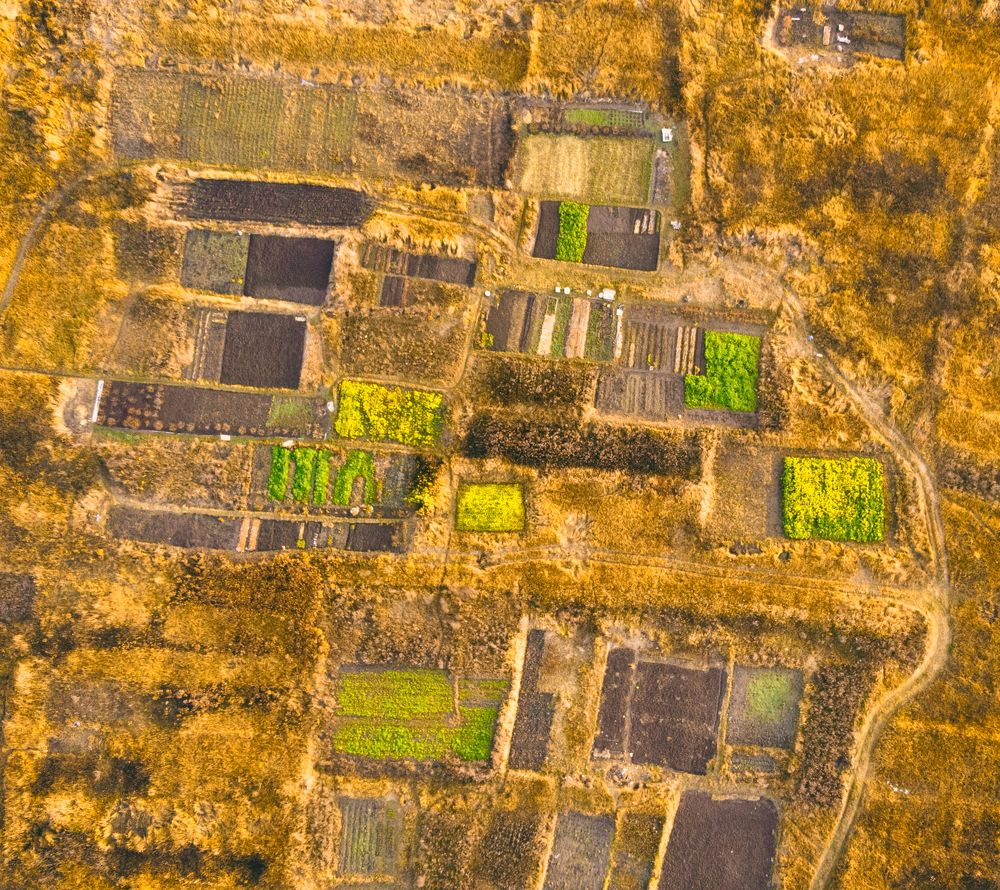 Photograph by Дубинин Сергей