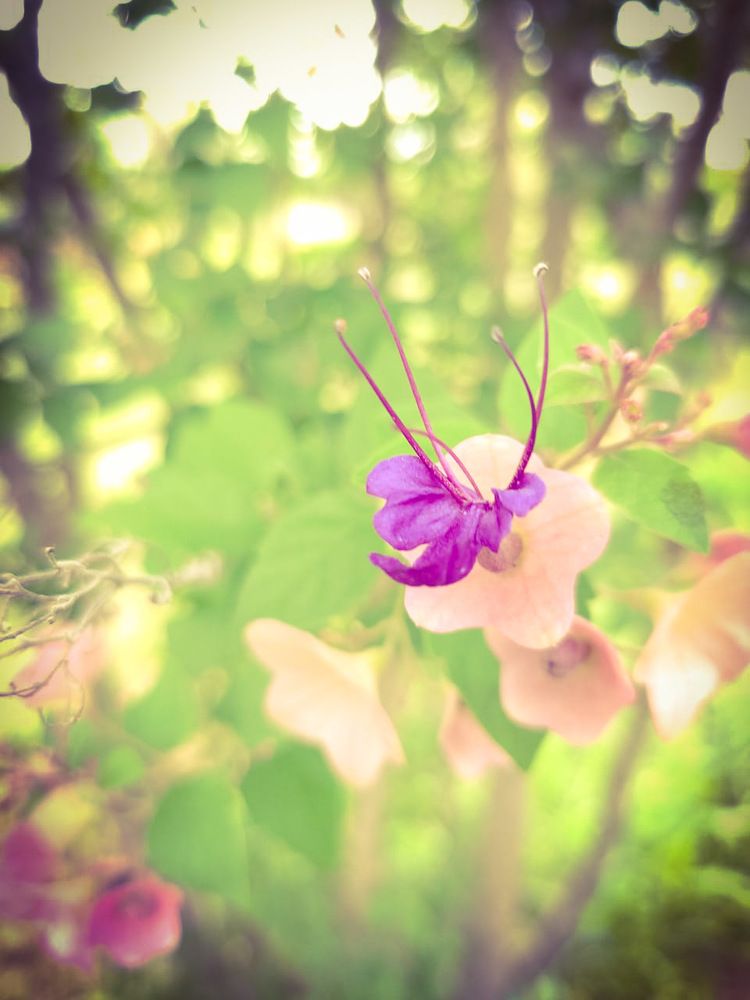 Фотография автора Rita Duvenhage