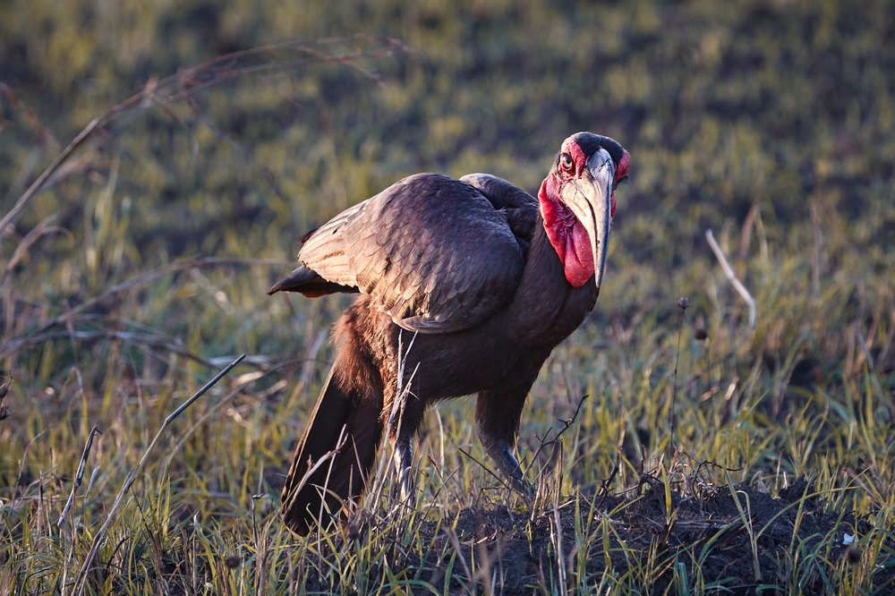 Photograph by Николай Наумов