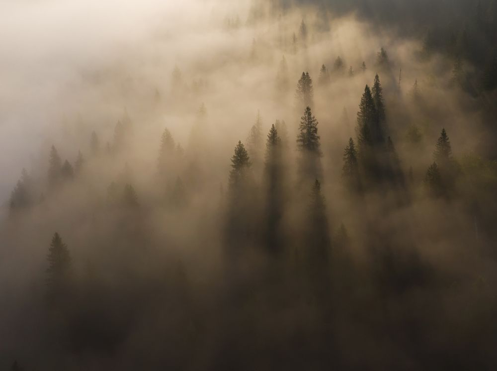 Photograph by Александр Чазов