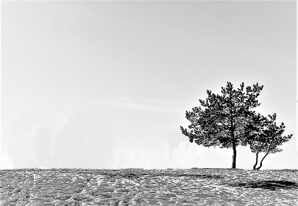 Photograph by Владимир Шнип