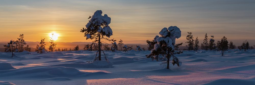 Photograph by Зарышнюк Роман