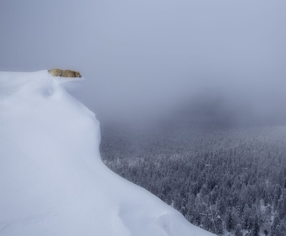 Photograph by Александр Чазов