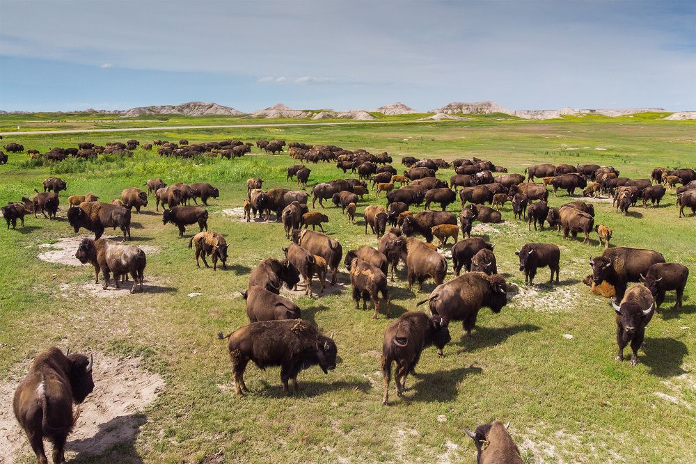 Photograph by Lana Anferow