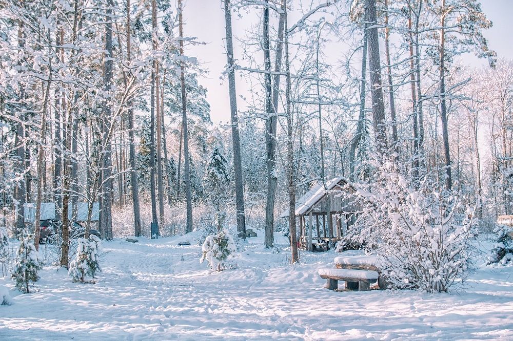 Photograph by Алена