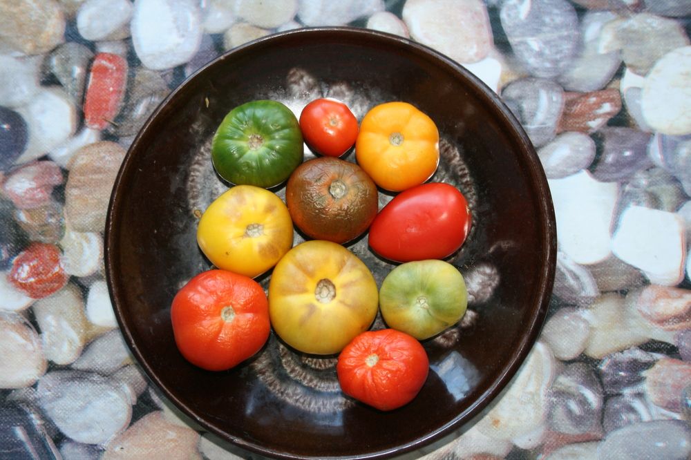 Мой урожай.