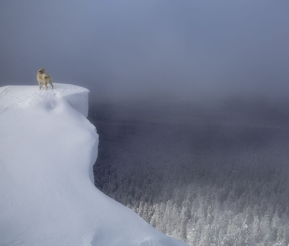 Photograph by Александр Чазов