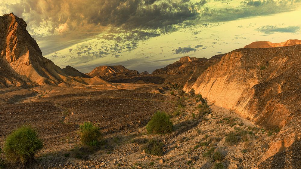 Photograph by Евгений Шварцман