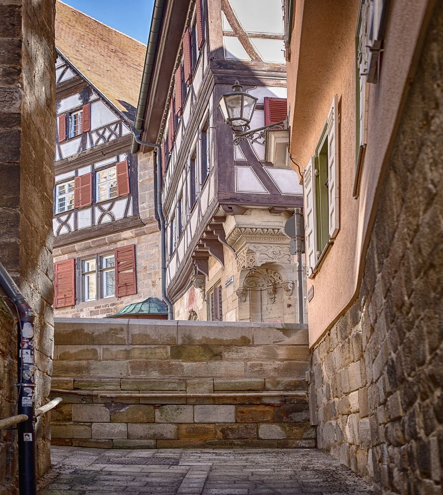 Photograph by Elena Gebert