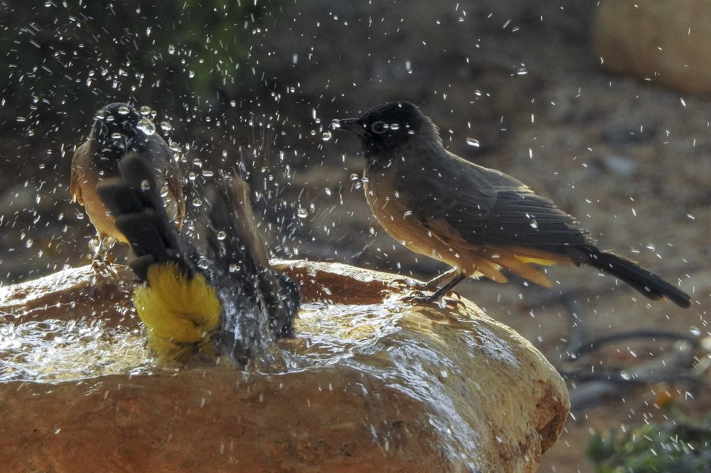 Photograph by Евгений Шварцман