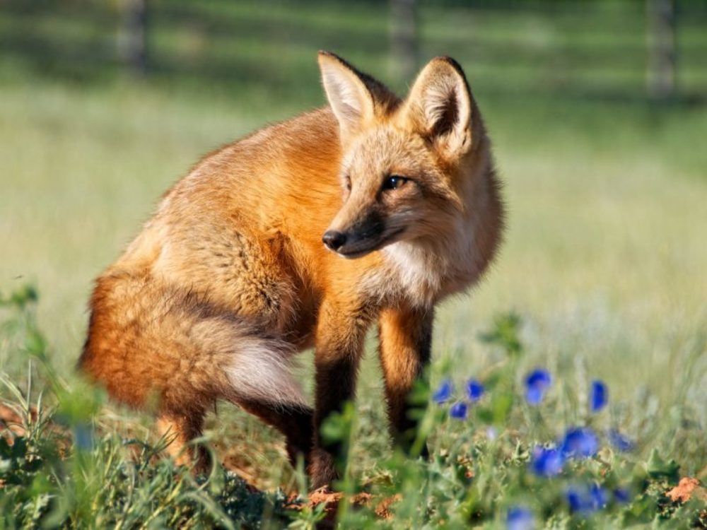 Photograph by ahsan ishtiaq