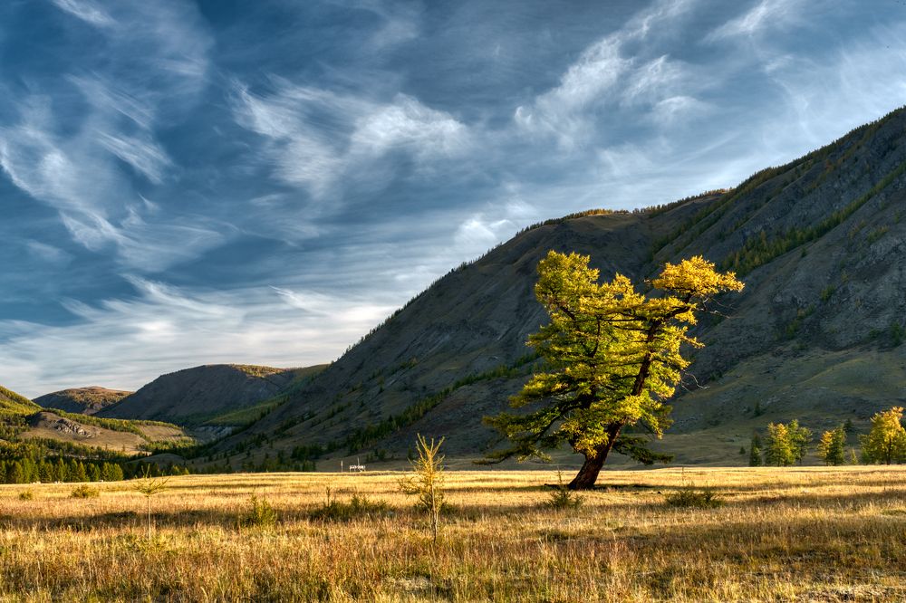 Кара-Холь. На рассвете.