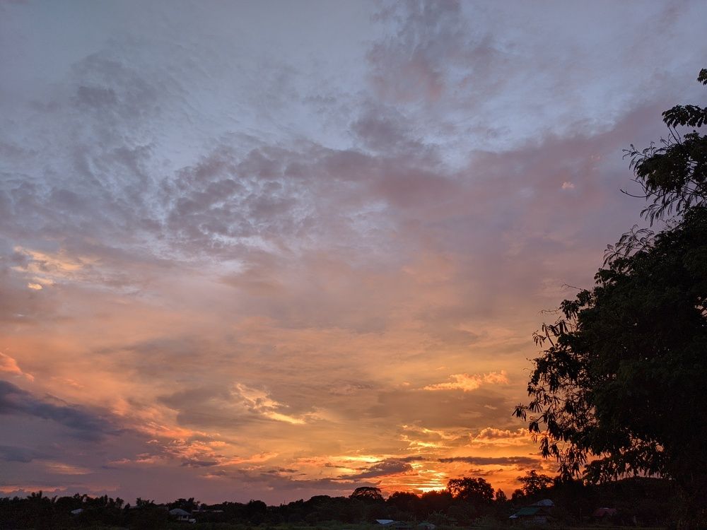 Photo #5843379
