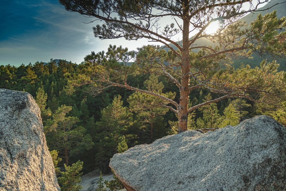 Photograph by Yelena Shander