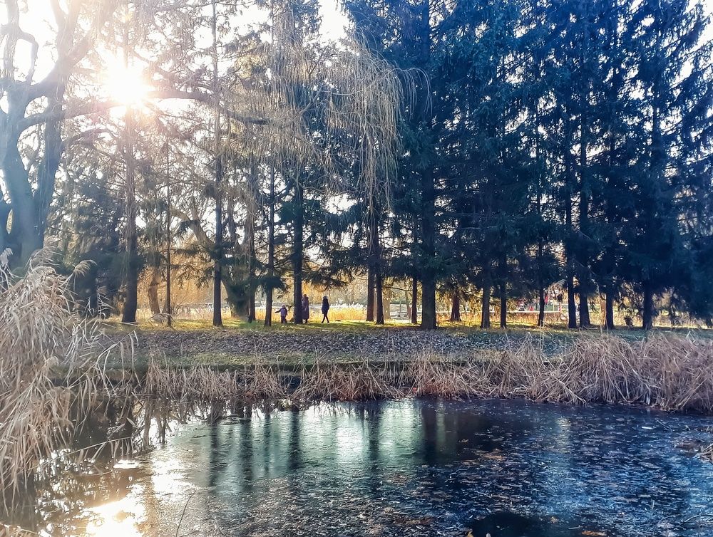 Мобильная фотография