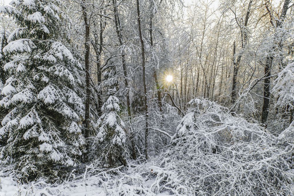 Photograph by Евгений