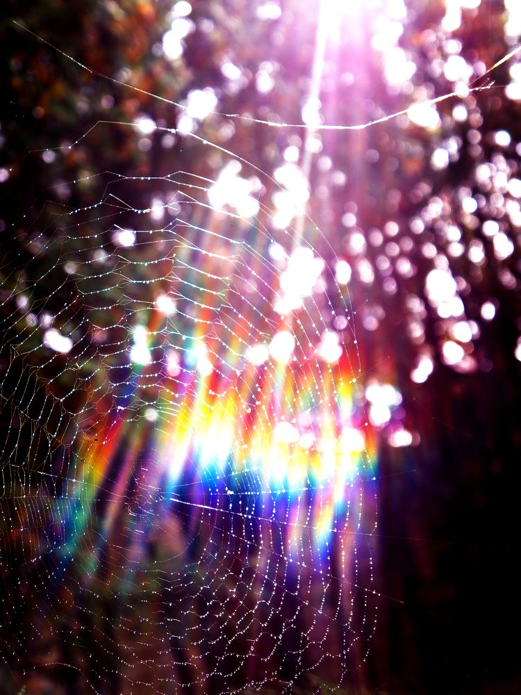 Photograph by Михаил