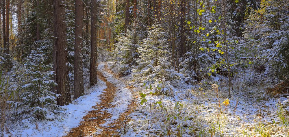 Photograph by Дмитрий Алексеев