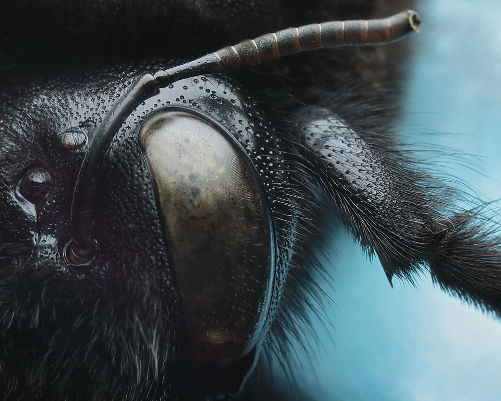 Photograph by Aleksandr Karyagin