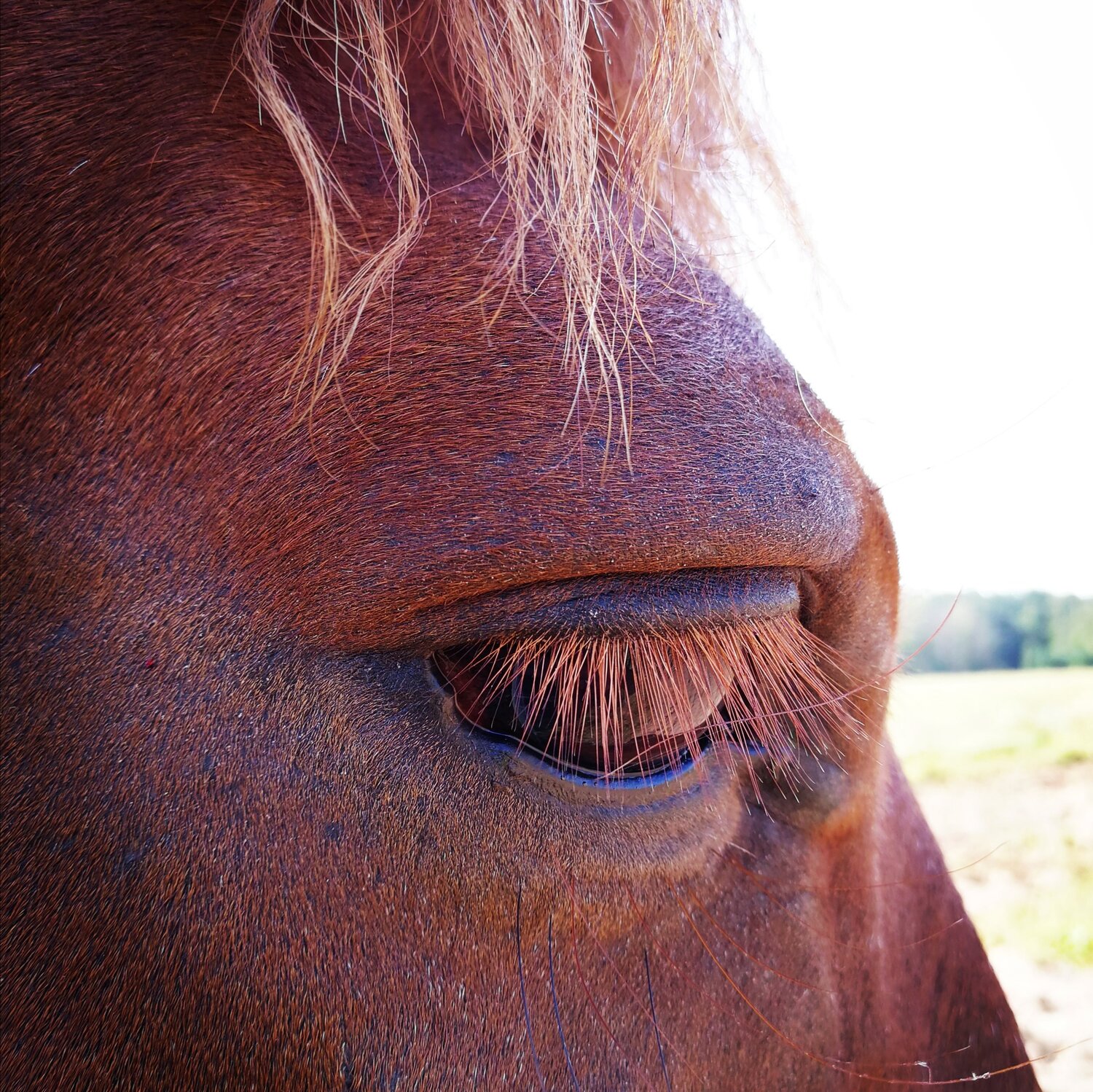 Photo #5843456