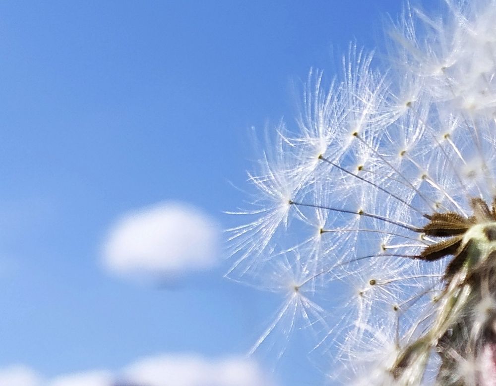 Photograph by Ирина Грицаенко-Шимановская