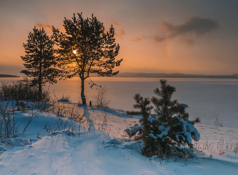 Photograph by Олег Шмельков