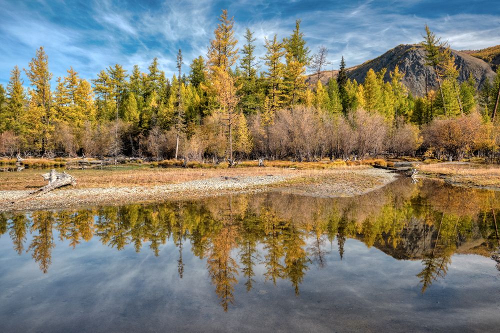 Сентябрьские краски.