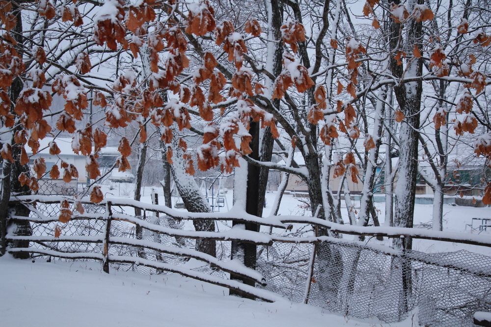 Photograph by Нина Ларина