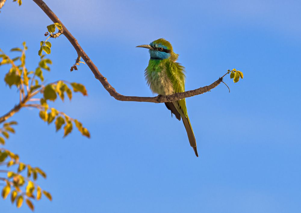 Photograph by Евгений Шварцман