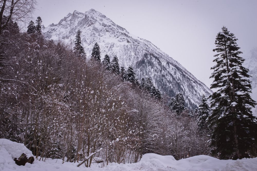 Photograph by Александра Евстропова