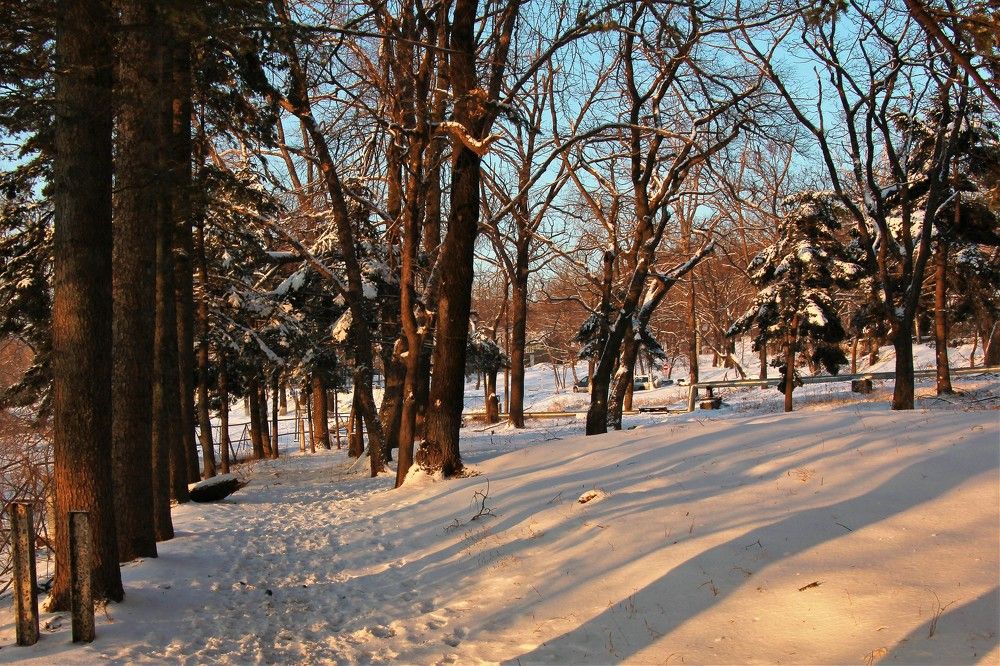 Photograph by Нина Ларина