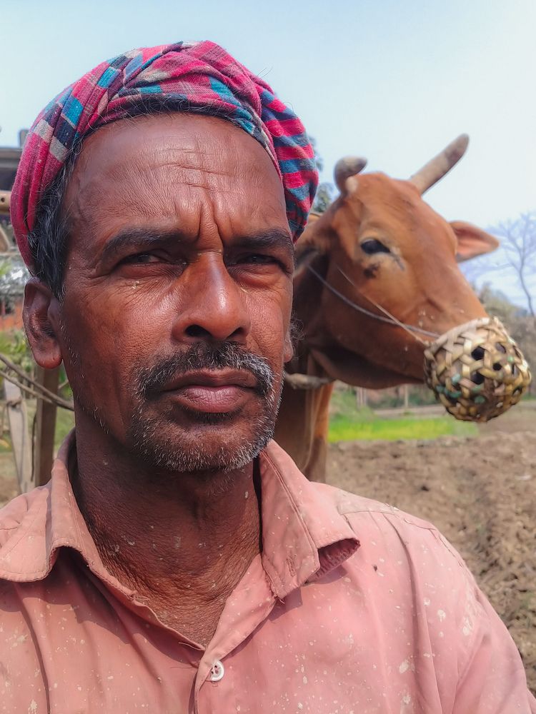 Photograph by Md Abu Sayeed Mondal